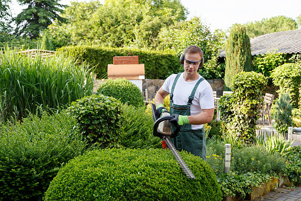 Best Pest Control for Lawns  in Ramseur, NC